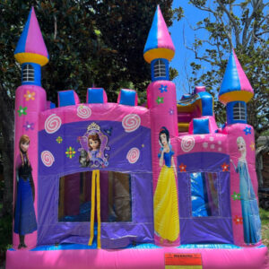 Beautiful Princess Castle Bounce house