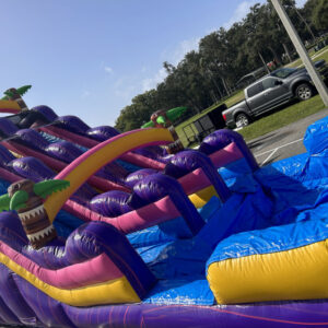 Purple Tropical Double lane Water slide 20 feet massive