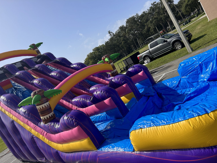 Purple Tropical Double lane Water slide 20 feet massive